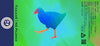 6缶セット - Takahē